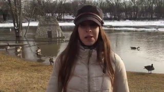 МЛМ Бизнес и Гуси!