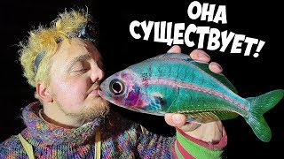 ИЩЕМ ПРОЗРАЧНУЮ РЫБУ | РЫБА МАРАМОЙКА !!