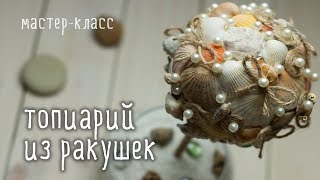 Делаем ТОПИАРИЙ из ракушек своими руками / мастер-класс