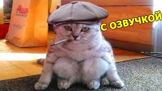 ЛЮТЫЕ ПРИКОЛЫ! ???? СМЕШНЫЕ ЖИВОТНЫЕ С ОЗВУЧКОЙ!????