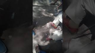 Bihar police taking bribe