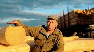Строительство домов и бань из бревна.Рубка в чашу. Рубка в лапу.Срубы из Вологды.Срубы Сямжа. Рубка