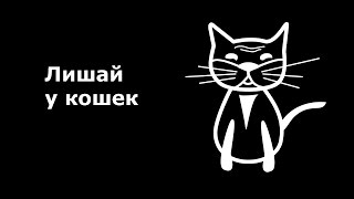Микроспория, стригущий лишай у кошек.