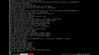 Boot Linux on a fully custom-made SoC on an FPGA