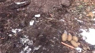 Woodchip Gardening - Breaking Ground