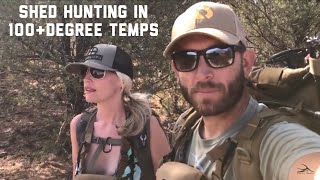 Bikini Shed Hunting!  " INQUEST 2018 " ANTLER TRADER