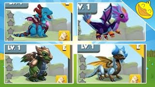 5 NEW CLAN DRAGONS?! Wood Witch, Warrior, Burgundy etc. + CLAN SPOTS AVAILABLE! - DML #1133