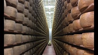 How Italian Cheese is Made???? Inside a Cheese Factory