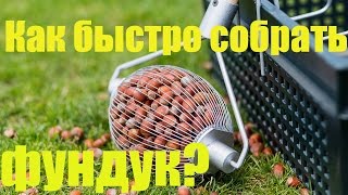 Как быстро собрать фундук? Ролл инструмент для сбора лесного ореха