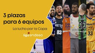 Tres plazas de Copa del Rey para seis equipos | Liga Endesa 2019-20