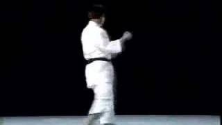 Pinan Godan Shito Ryu