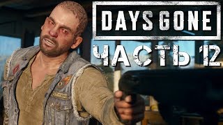 Прохождение DAYS GONE (Жизнь После) Часть 12 ➤ Увозим Зараженного Бухоря в Новый Лагерь