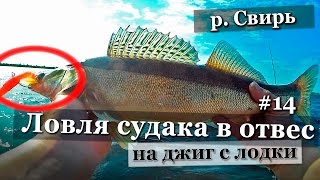 Рыбалка и Ловля судака в отвес  на джиг в Ленинградской области 2016