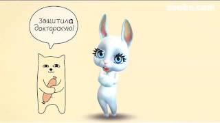 Zoobe Зайка Собеседование и диплом