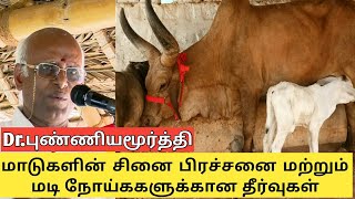 மாடுகளுக்கு சினை மற்றும் மடி நோய்கான தீர்வு | மரபு வழி மாடு வளர்ப்பு Part 6
