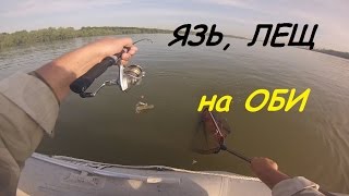 Ловим леща, язя, сорогу на Оби с лодки. июнь 2015