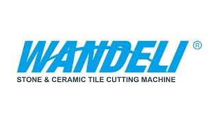 The BEST! NEW Wandeli QX-ZD 1200
