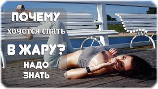 Почему в жару хочется спать?