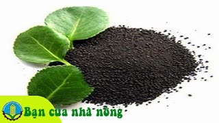 Tìm hiểu tầm quan trọng của phân bón hữu cơ vi sinh đối với cây trồng