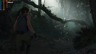 Shadow of the Tomb Raider Benchmark 1080ti with 399.07 drivers 1440p