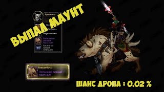 Выпала Гиена в World of Warcraft. Battle for Azeroth. Как получить? Пойманный Дюнный Падальщик вов