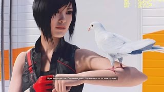 Mirror's Edge Catalyst i5 6500 GTX 1070 HYPER TEST FPS