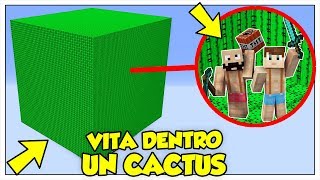 SI PUÒ SOPRAVVIVERE IN UN CUBO DI CACTUS? - Minecraft ITA