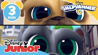 Valpvänner | Blinkleken ?- Disney Junior Sverige