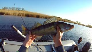 Ловля щуки и судака нахлыстом | Fly Fishing for pike and zander