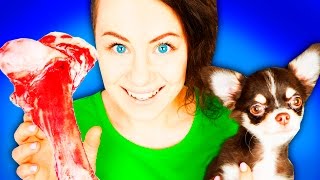 ЧТО ЕСЛИ ЩЕНКУ ДАТЬ КОСТЬ ГИГАНТ?