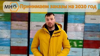 Принимаем заказы на маток Бакфаст (ИО и F1) и пчелопакеты