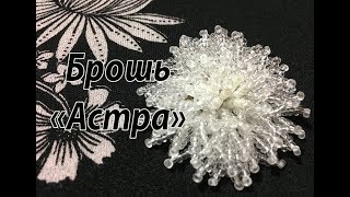 Брошь "Астра". Брошь на круглой основе.