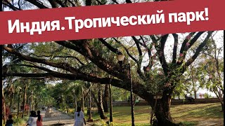 Прогулка по очень красивому Парку в Индии