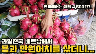 과일천국 베트남에서 용과 만원어치를 샀더니... 헐ㄷㄷ
