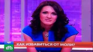 Как избавиться от моли? НТВ Утром