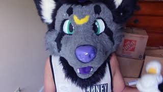 Watch if you're new to the furry fandom