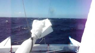 Tiki 21 Itaca - in 30kts wind