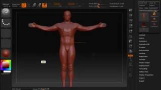 zbrush - rigging 3