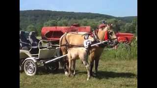 Коні мої коні ч.1 с.Стрілецткий Кут 29.06.2014