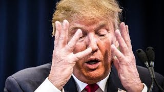 Whiny Donald Trump Asks Why Senate Isn’t Investigating “Fake News Networks”