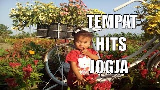 WISATA HITS YOGYAKARTA SELFIE TAMAN BUNGA BANTUL JOGJA TERBARU