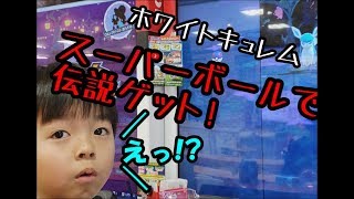 【ガオーレ】スーパーボールでホワイトキュレムゲットだぜ!!!【ポケモン】