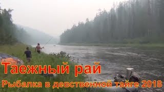 Таежный рай Рыбалка 2018 лес охота тайга поход счастливые люди выживание гриб медведь кедровый орех