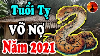 Tuổi TỴ Năm 2021 ĐẠI HẠN Giáng Xuống Triền Miên, Xem Ngay Kẻo Vỡ Nợ Mất Trắng