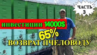 ИНВЕСТИЦИИ И ВОЗВРАТ ДЕНЕГ ПЧЕЛОВОДУ/На пасеке Андрея Бодяна 2019