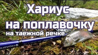 ?Поплавочная снасть! Хариус! Таежная речка!
