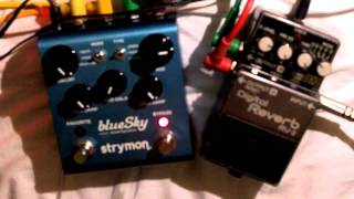 Strymon BlueSky vs Boss RV-2 - Reverb Shootout