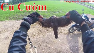 Ná Cao Su Săn Cò Cu Gáy - Kiếm Mồi Nhậu Cổ Vũ U23 Việt Nam