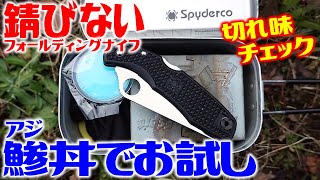魚をさばいて絶品メスティン丼！錆びないナイフ！スパイダルコ パシフィックソルト！
