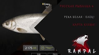 Русская Рыбалка 4! Река Белая - Елец!
